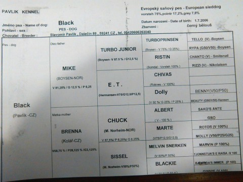 rodokmen--black--pavlik-.jpg